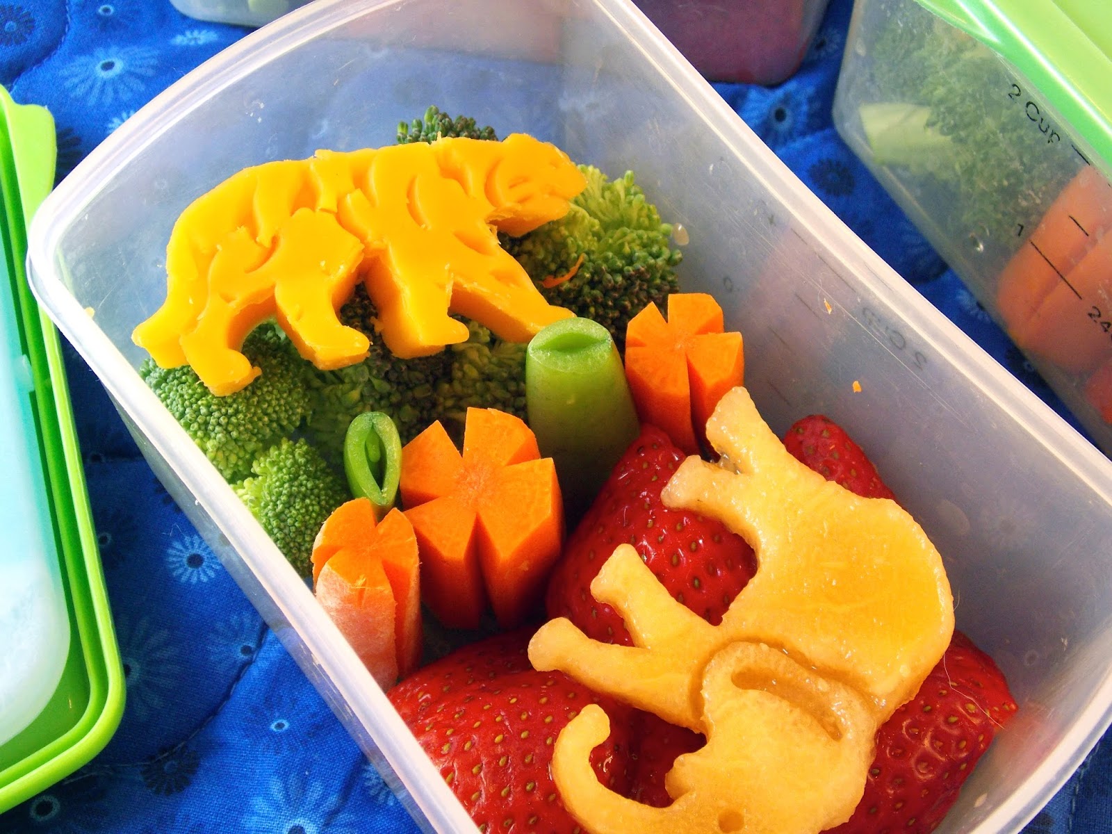 Healthy Snacks for a Trip to the Zoo - Beneficial Bento