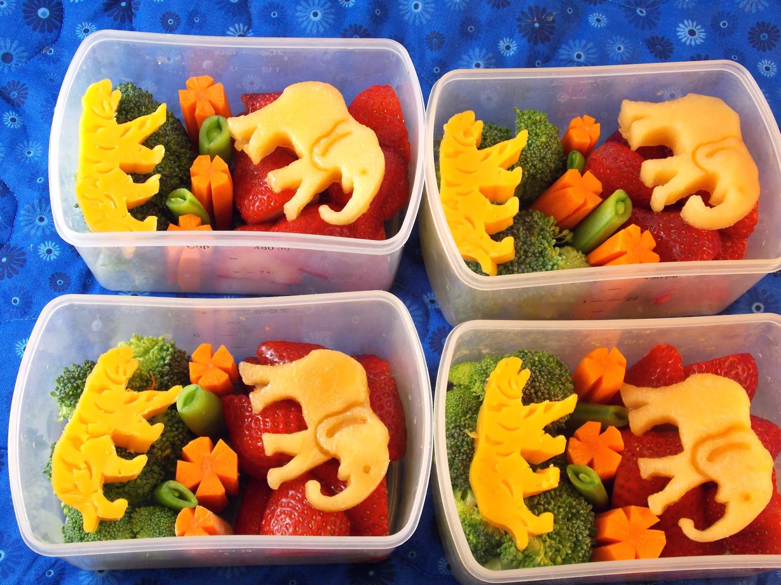 Healthy Snacks for a Trip to the Zoo - Beneficial Bento