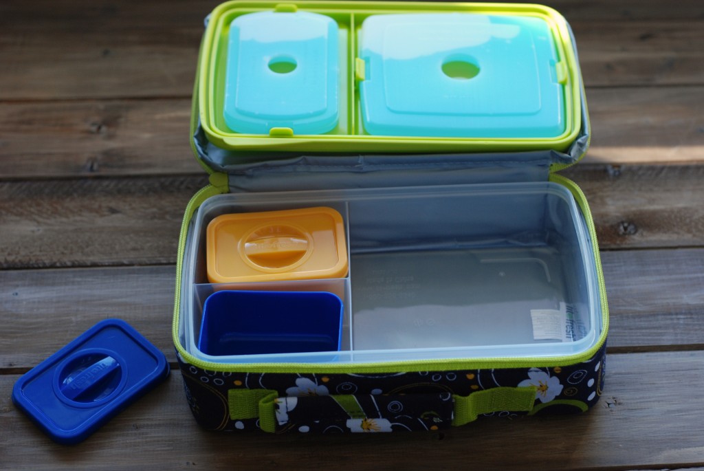 Fit \u0026amp; Fresh Bento Lunch Kit - Beneficial Bento