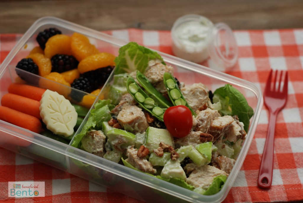 fit & fresh bento lunch kit