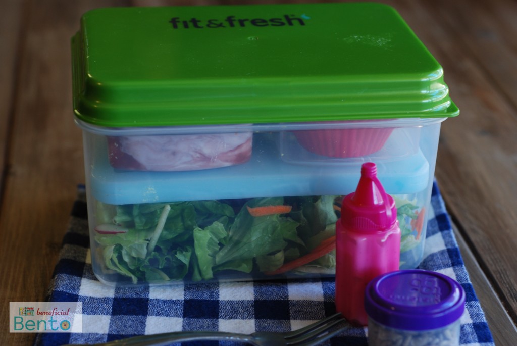 fit & fresh lunch box