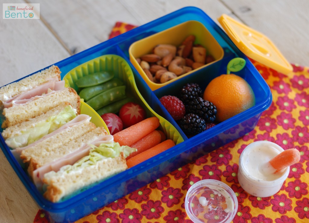 fit and fresh bento lunch kit