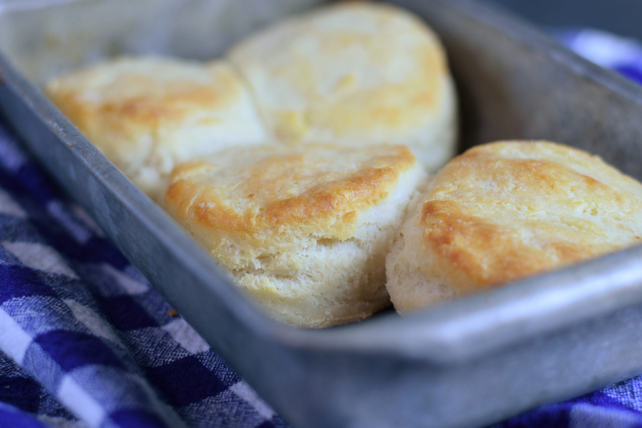 Gluten Free Biscuit Recipe - Beneficial Bento