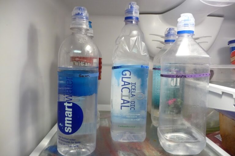 how to get your family to drink more water