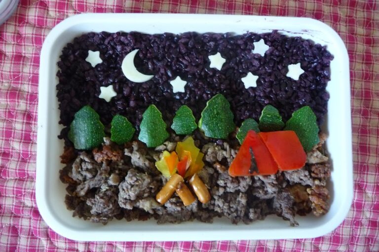 Camping Bento