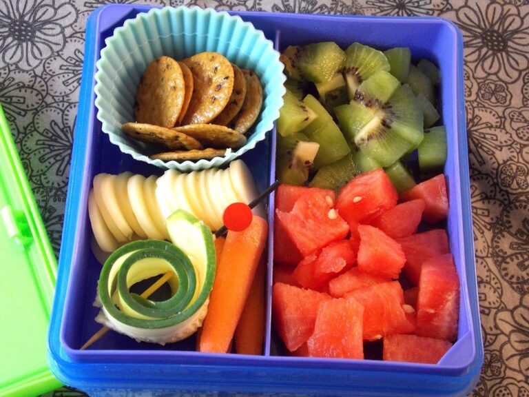 Review - Fit & Fresh Kids Lunch Pak Carrier