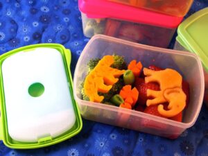 great way to pack healthy snacks!