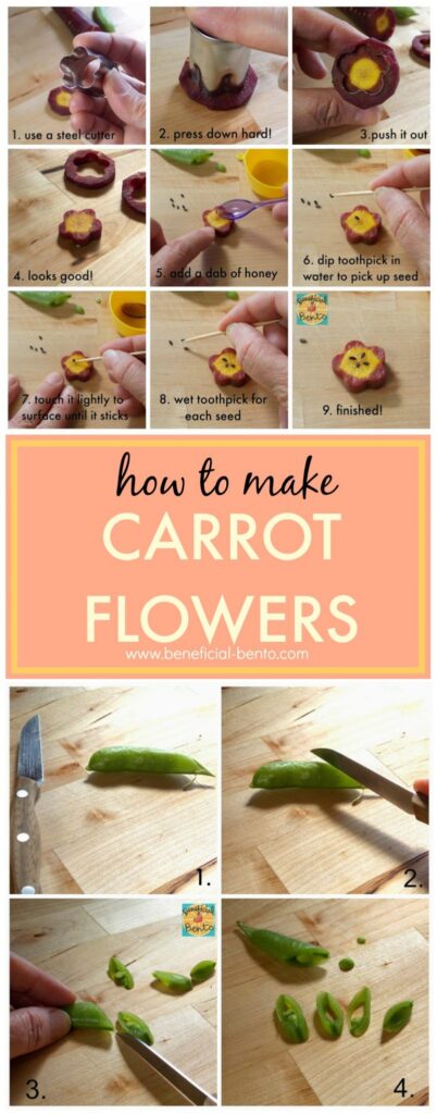 this is a collage of carrot flowers. Read more at beneficial-bento.com