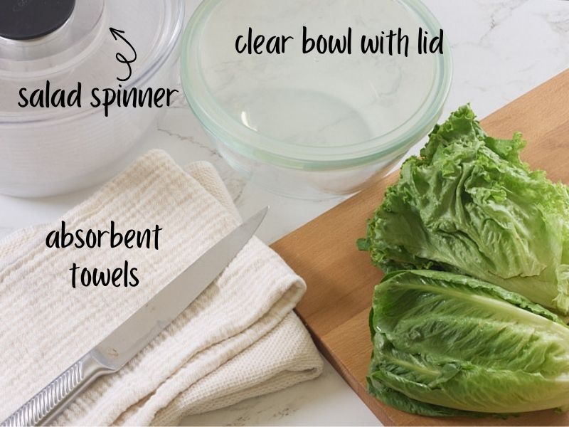 salad bowl, what you need