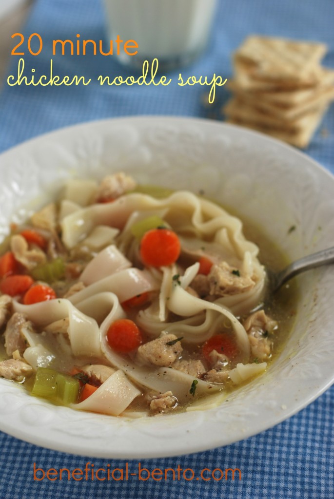 20 Minute Chicken Noodle Soup - Beneficial Bento