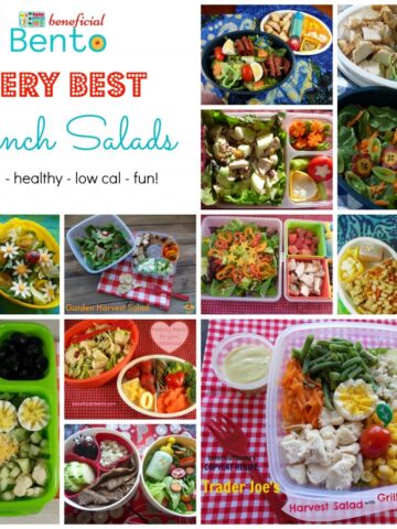 lots of great lunch ideas all in one place!