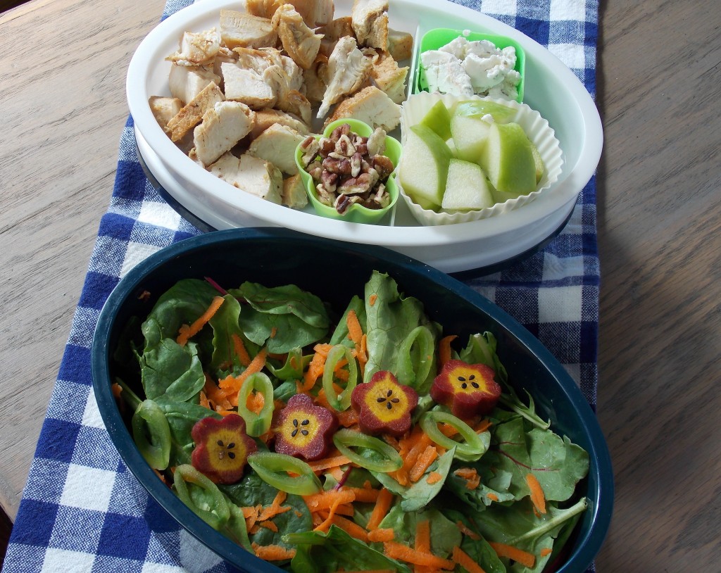 Beneficial Bento's Best Lunch Salads - Beneficial Bento