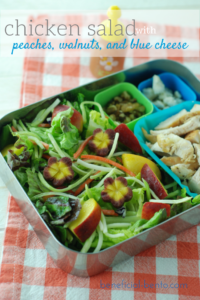 chicken salad with peaches, walnuts, and blue cheese - a fantastic combo for a summer salad!