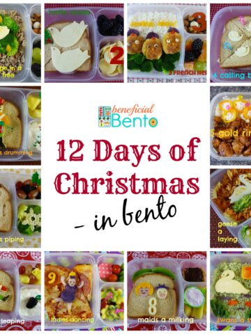 I did the 12 days of Christmas for my family's lunches. You don't have to always celebrate with candy and cake - it's fun to dress up healthy food for the holidays!