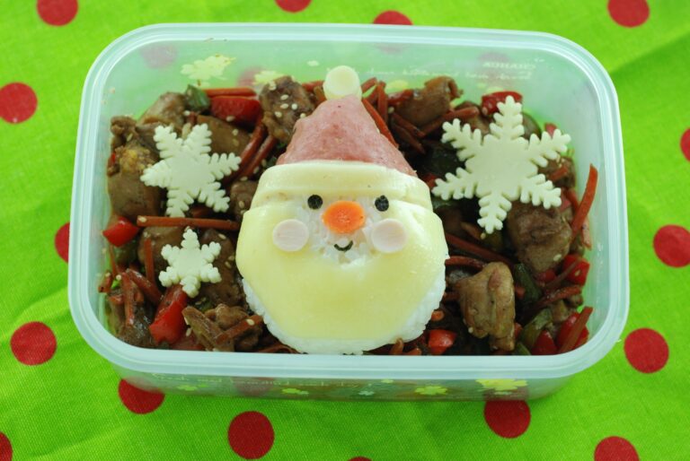A really cute way to serve leftover chicken teriyaki and rice - from beneficial-bento.com
