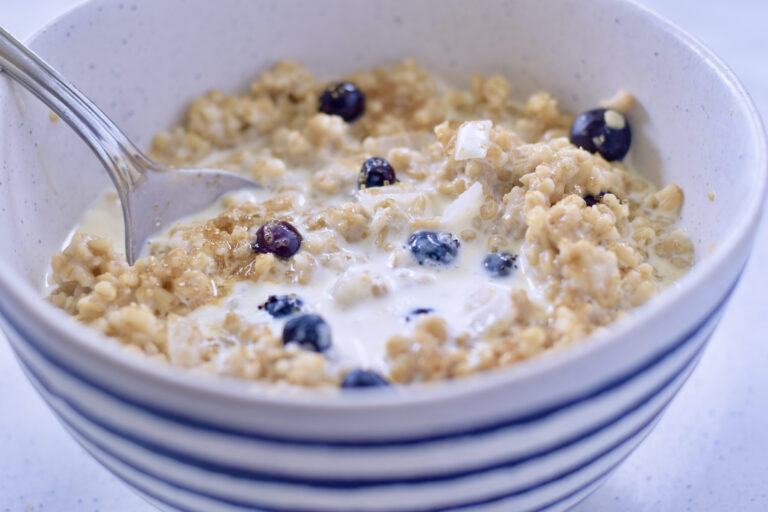 steel cut blueberry coconut oats, closeup
