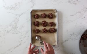 step 5 scoop into balls