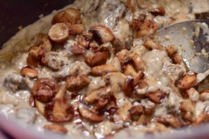slow cooker beef stroganoff, close up
