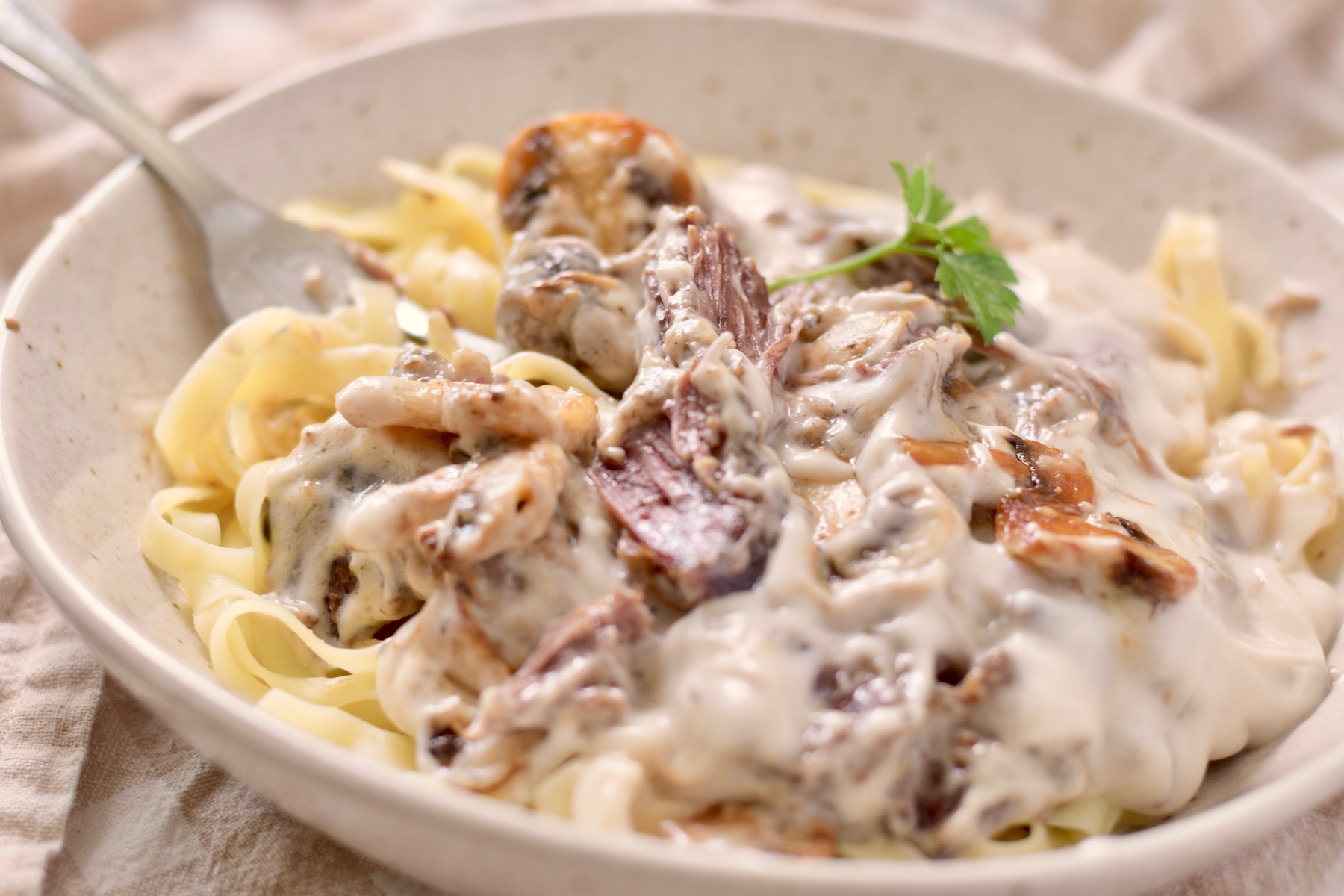 stroganoff noodles, parsley