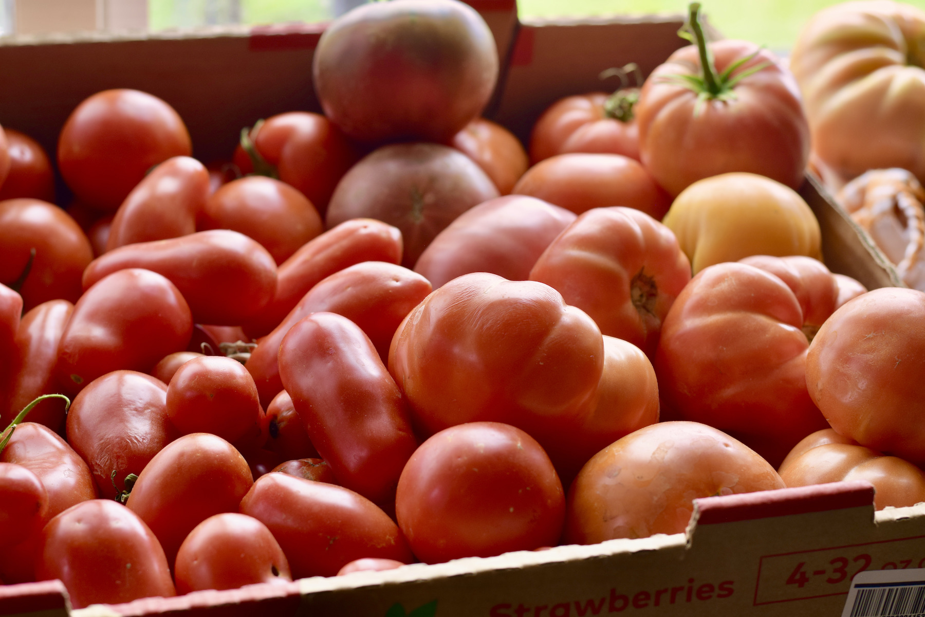 ripe tomatoes, close up