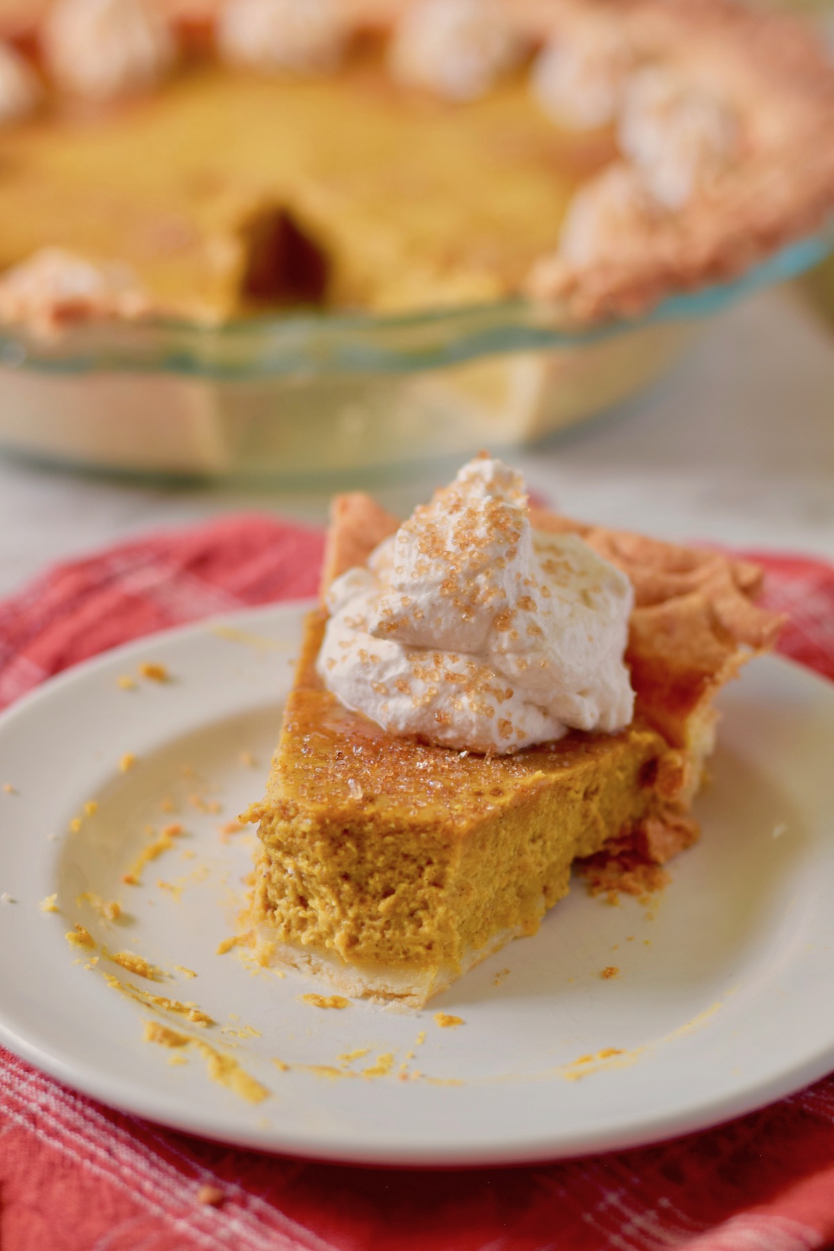 pumpkin pie slice, bite