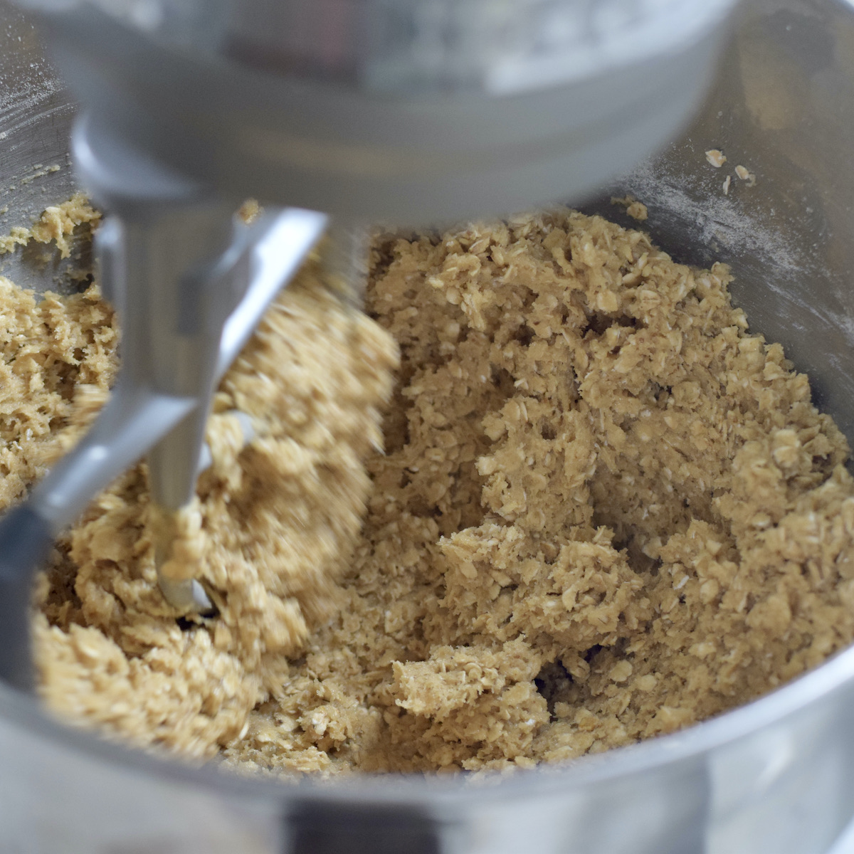 step 4. add oatmeal